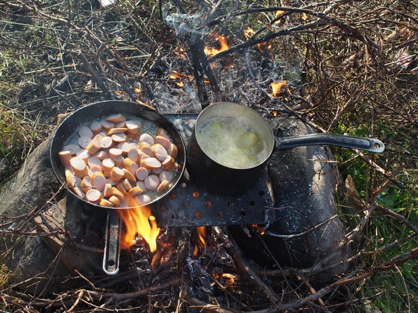 Padella e una pentola sul fuoco — Foto Stock