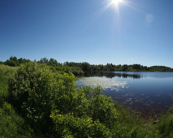 여름의 호수 — 스톡 사진