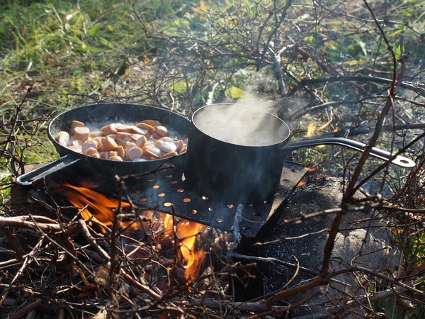 Frying pan and a pot on the fire — Stock Photo, Image