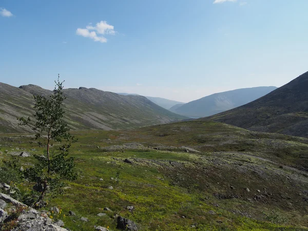 Khibiny-bergen — Stockfoto