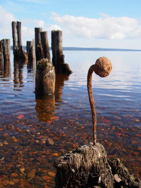 Curved nail in the old pile on the lake — Stock Photo, Image