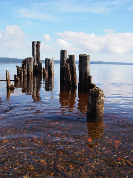 Vecchi mucchi nel lago — Foto Stock