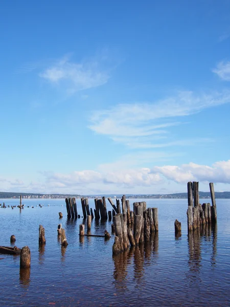 Old piles in the lake — Stock Photo, Image