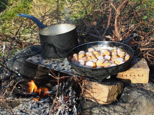 Frying pan and a pot on the fire — Stock Photo, Image