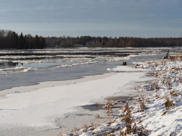 River in winter — Stock Photo, Image