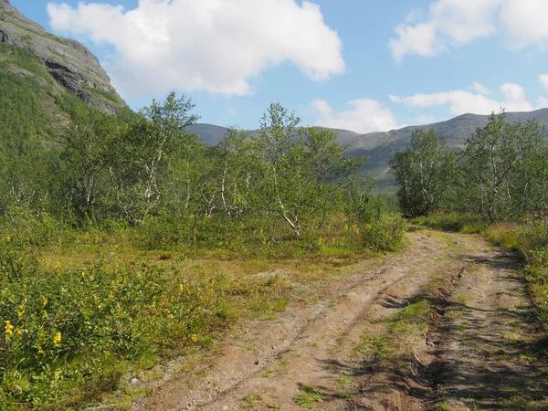 Väg i bergen — Stockfoto