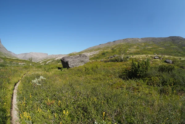 Pfad in den Bergen — Stockfoto