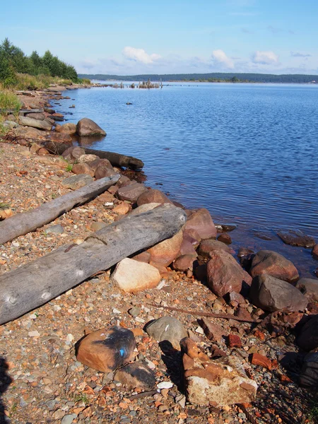 Oever van het meer — Stockfoto