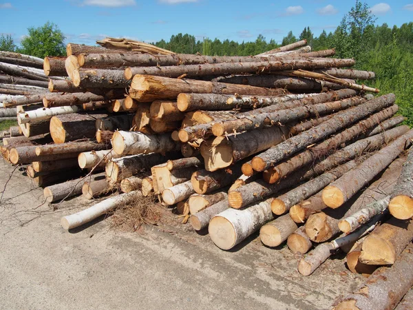 The logs on the road — Stock Photo, Image