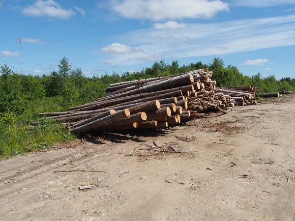 Los troncos en la carretera —  Fotos de Stock