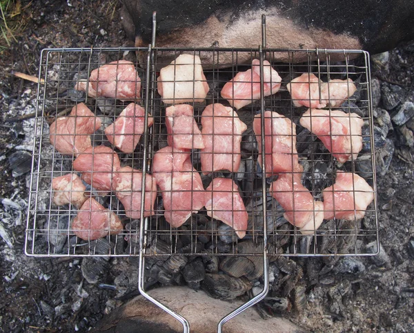 Felii de carne de grătar se pregătesc pe foc — Fotografie, imagine de stoc
