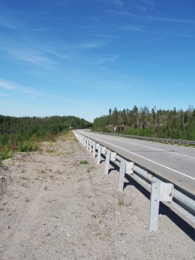 asfalt yol ormanda