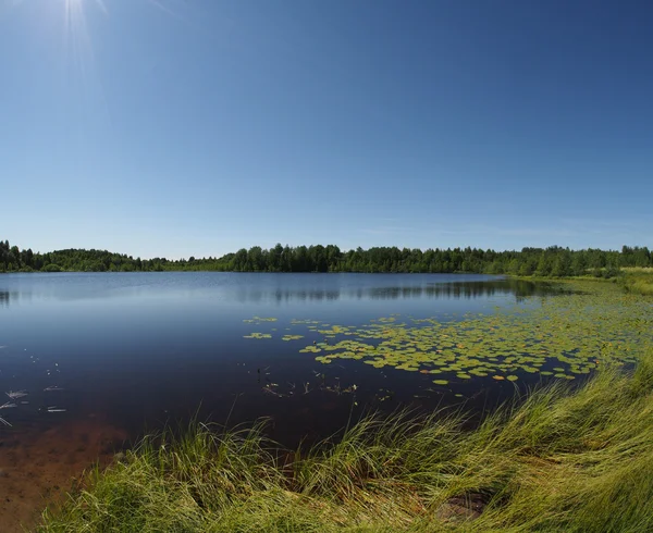 Lago en el verano —  Fotos de Stock