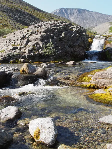 Fiume di montagna — Foto Stock