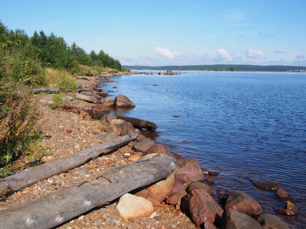 Oever van het meer — Stockfoto