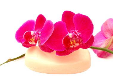 Orkide ve sabun