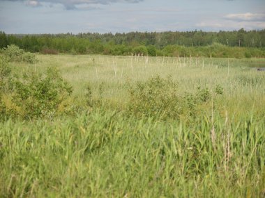 Yaz aylarında ahşap