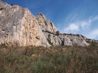 ağaçlar, gökyüzü ve kaya