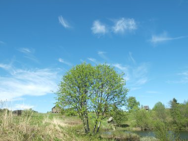 Ağaç atılmış Köyü