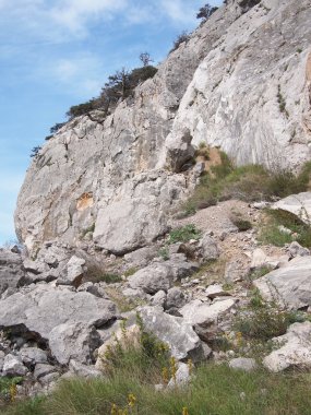 ağaçlar, gökyüzü ve kaya
