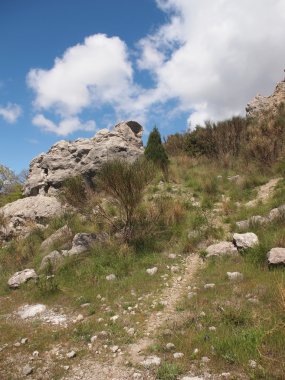 ağaçlar, gökyüzü ve kaya