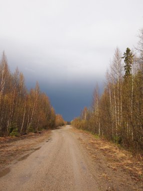 ormanda yol