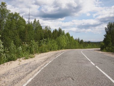 güzel yeşil orman yolu