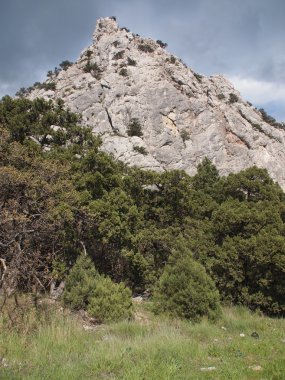 ağaçlar, gökyüzü ve kaya
