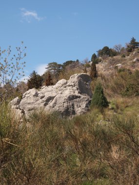 ağaçlar, gökyüzü ve kaya