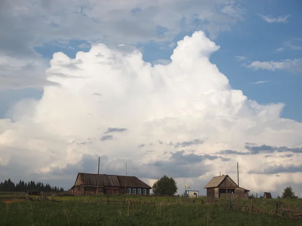 Wolk-paard — Stockfoto