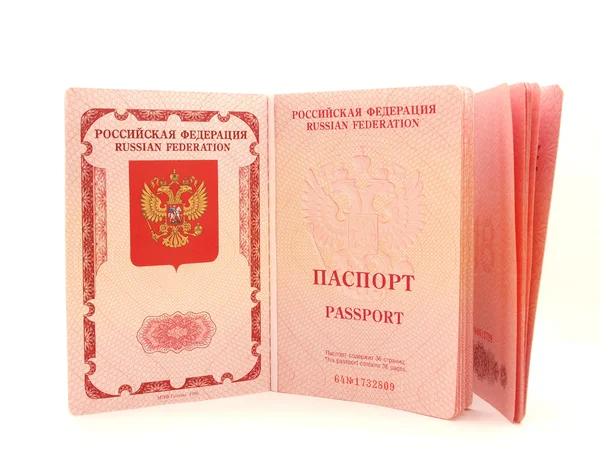 Het geopende paspoort — Stockfoto