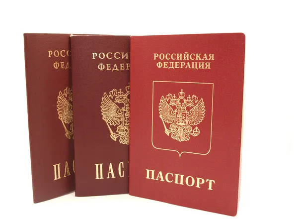 El pasaporte ruso — Foto de Stock