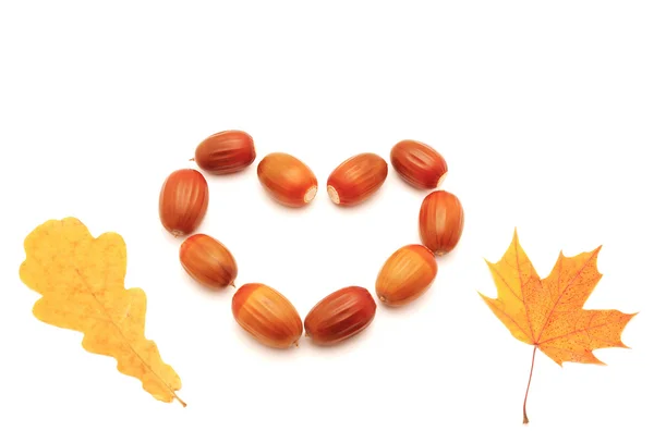 Acorns and leaves — Stock Photo, Image