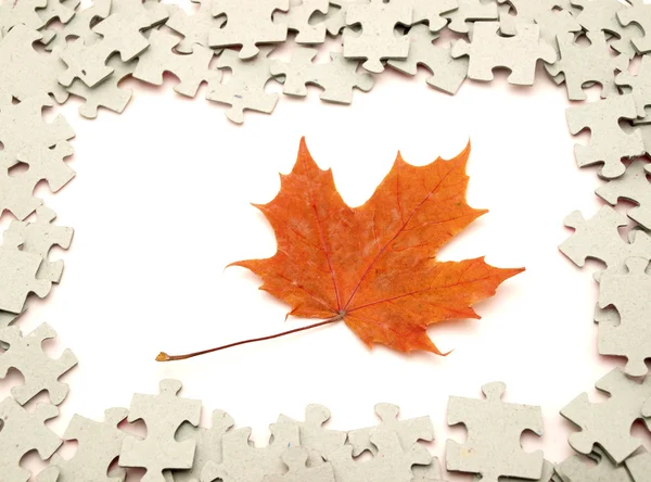 Puzzle und Blätter — Stockfoto
