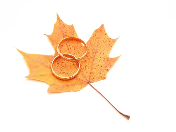 Anneaux de mariage et feuilles d'érable — Photo