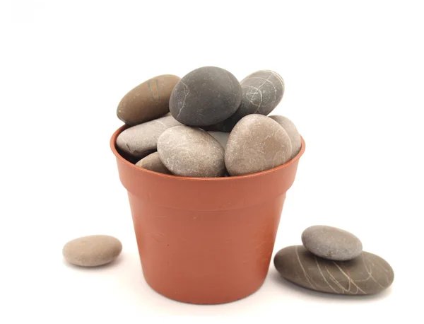 Stones in a flowerpot — Stock Photo, Image