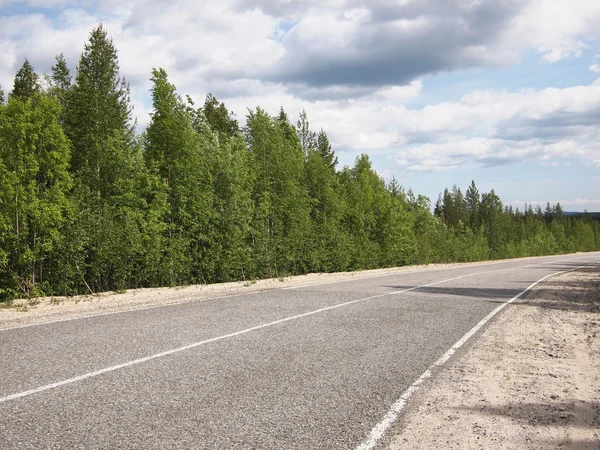 Road in beautiful green forest — Stock Photo, Image