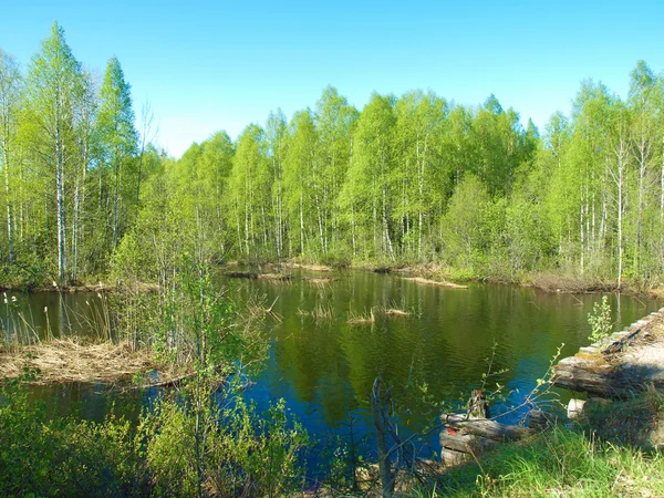 Pobřeží řeky na jaře. Karelia, Rusko — Stock fotografie