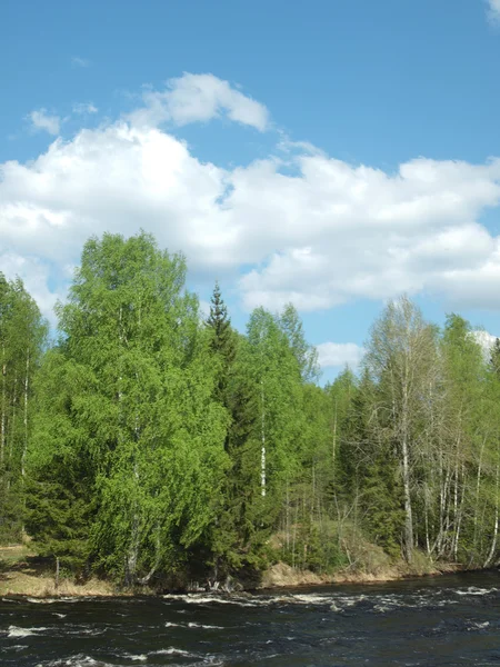 Côte de la rivière au printemps — Photo