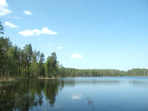 Piękne jezioro — Zdjęcie stockowe