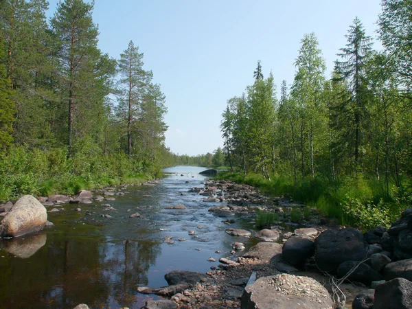 Costa del fiume in primavera. Carelia, Russia — Foto Stock