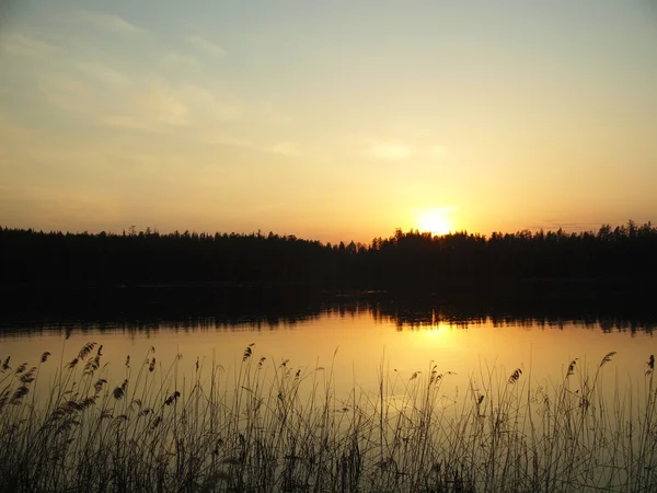 Pokles na jezeře v lese. Karelia, Rusko — Stock fotografie