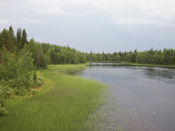 Wybrzeże rzeki na wiosnę. Karelia, Federacja Rosyjska — Zdjęcie stockowe