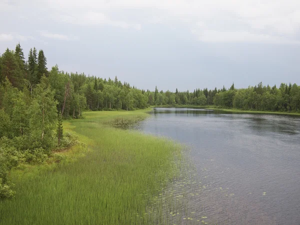 Tavasszal a folyó partján. Karelia, Oroszország — Stock Fotó