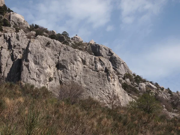 Stromy, oblohou a rock — Stock fotografie