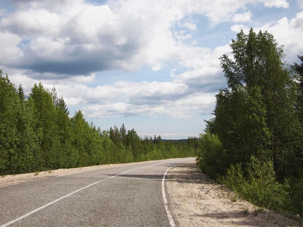 Road in beautiful green forest — Stock Photo, Image