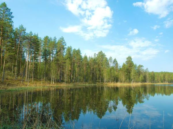 Krásné jezero — Stock fotografie