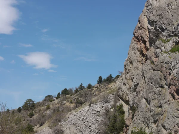 Strom, obloha a rock — Stock fotografie