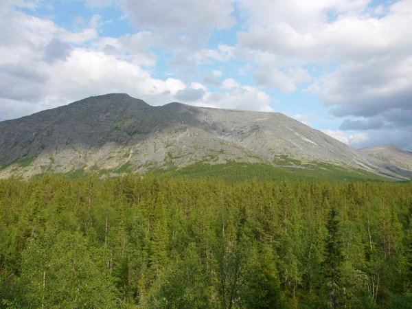 Grande montagna nel nord della Russia — Foto Stock