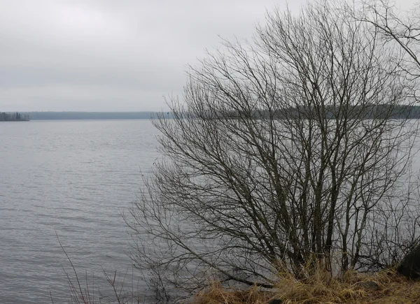 Coast of lake — Stock Photo, Image